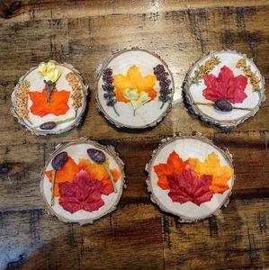 NEW, Handmade Bundle of 5 Fall Themed Magnets